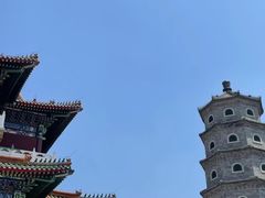 -天津大悲禅院