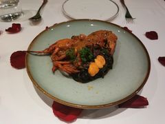 -蝶舍·MAISON PAPILLON