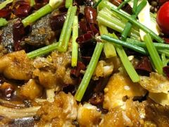 -老板恋上鱼(恒隆广场店)