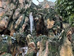 -奥兰多迪士尼动物王国乐园