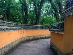 -普陀山雷迪森庄园