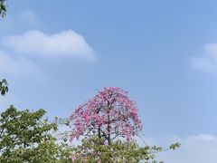 -顺发饮食店(景泰西六巷店)