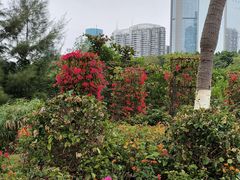 -万绿园