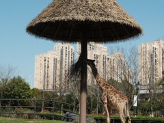 -南昌动物园