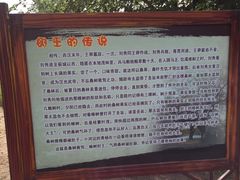 -御林古桑园