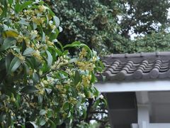 -无锡梅园公园