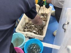 -日照世帆赛基地