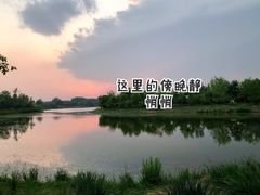 -东郊湿地公园