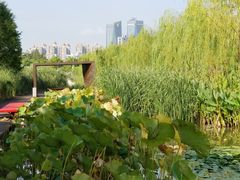 -东浩兰生上海世博展览馆