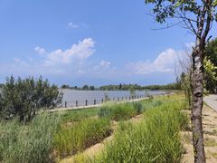 -野鸭湖国家湿地公园