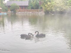 -厦门园林博览苑