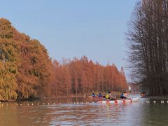 -上海海湾国家森林公园