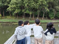 -游龙石文化科普馆