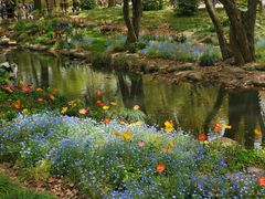 -上海共青森林公园