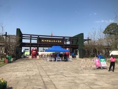 -杭州湾海上花田景区