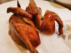 -甄御•海鲜新青岛菜(麦岛店)