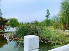 -武清南湖绿博园