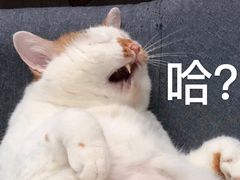 -火星工厂狼人·剧本桌游轰趴馆·自助酒吧(滨江店)