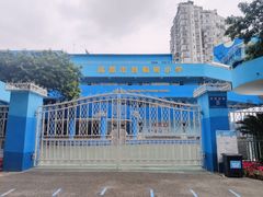 -泡桐树街