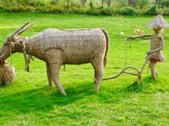 -建华生态湿地百荷园