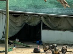 -苏州上方山国家森林公园