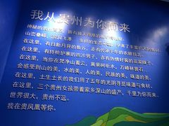 -贵凤凰贵州米粉(望京店)