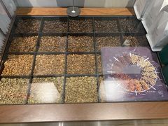 -野鸽子咖啡(中航店)