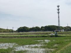 -嘉北郊野公园