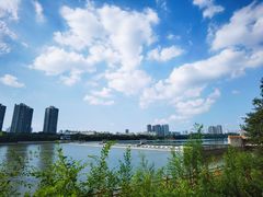 -长白岛森林公园