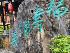 -长寿村