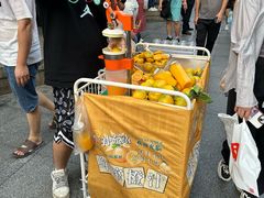-奈雪的茶(大梅沙8号仓店)