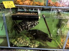 大堂-阿兴生鱼片(大光路店)