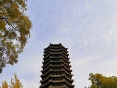 -博雅塔