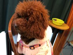 -小象猛犸(炫地购物中心店)