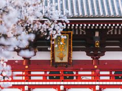 -浅草寺