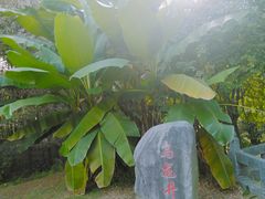-东湖落雁景区