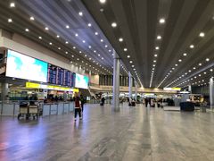 -谢列梅捷沃国际机场