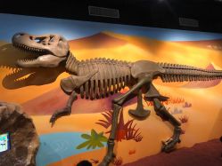 -北京科学中心儿童乐园