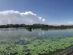 -大兴滨河森林公园