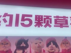 -K22.酸奶草莓(烟台芝罘店)