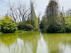 -上海滨江森林公园