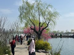 -无锡蠡湖国家湿地公园-蠡园