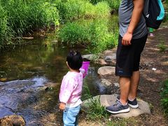 -碓臼峪自然风景区