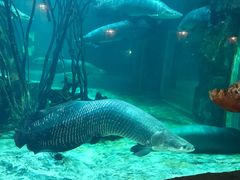 -华夏文旅海洋公园