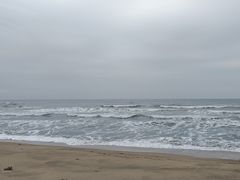 -红月湾海鲜饭店•沙滩海景(双月湾店)