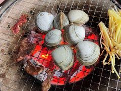 大白蚬子-鞍山戰