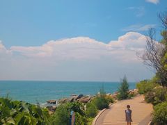 -广东惠东海龟国家级自然保护区