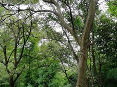 -敬亭山风景名胜区