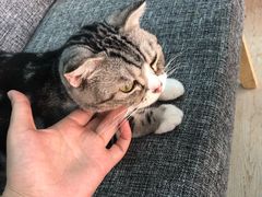 -鹿禾园(钟楼店)