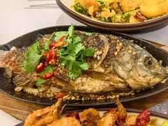 铁板烤鲫鱼-老杨太太烧烤(文化广场店)